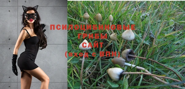 соль курить ск Дмитров