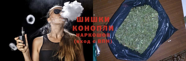 амф Дмитриев