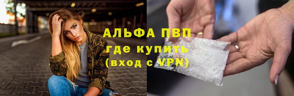амф Дмитриев