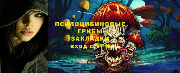 соль курить ск Дмитров