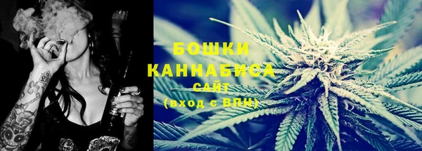 крисы Дмитровск
