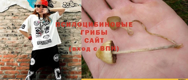соль курить ск Дмитров