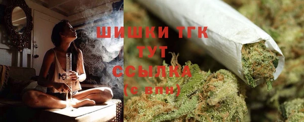 крисы Дмитровск