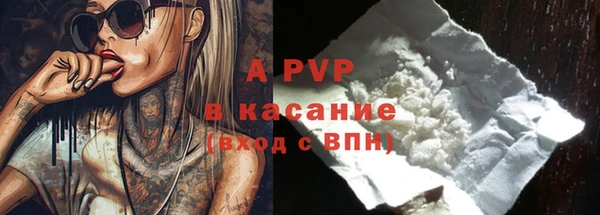 крисы Дмитровск