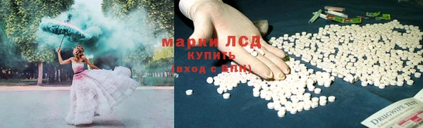 амф Дмитриев
