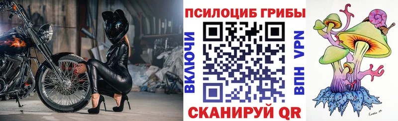 MEGA   Мурманск  Галлюциногенные грибы ЛСД 